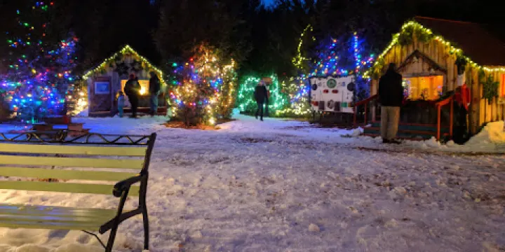 Stanley's Olde Maple Lane Farm