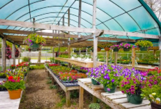 Hulse's Potting Shed购物图片