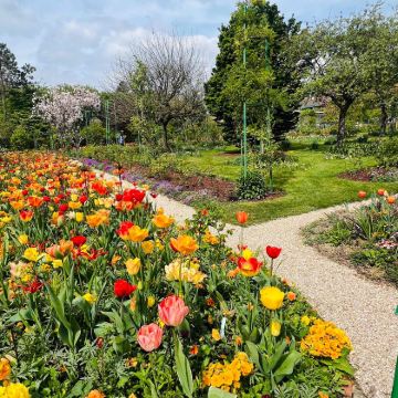 法国+意大利9日8晚私家团