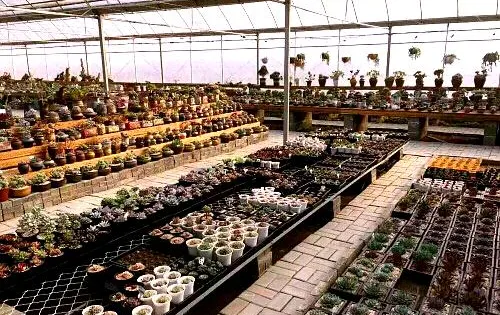 南通四月天多肉植物園