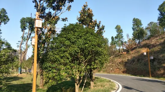 鐔城公園