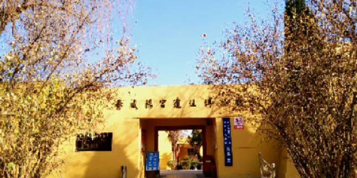 秦咸陽宮遺址博物館