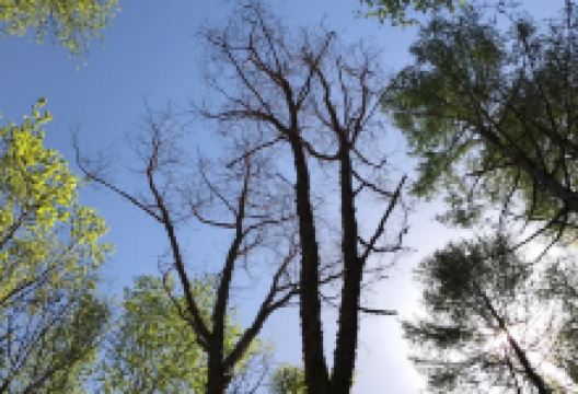 柳河水库景点图片