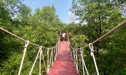 Ao Mahachai Mangrove Forest Natural Education Center