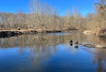 Pennypack Trail景点图片