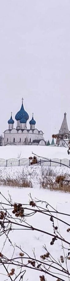 苏兹达尔克里姆林-苏兹达尔