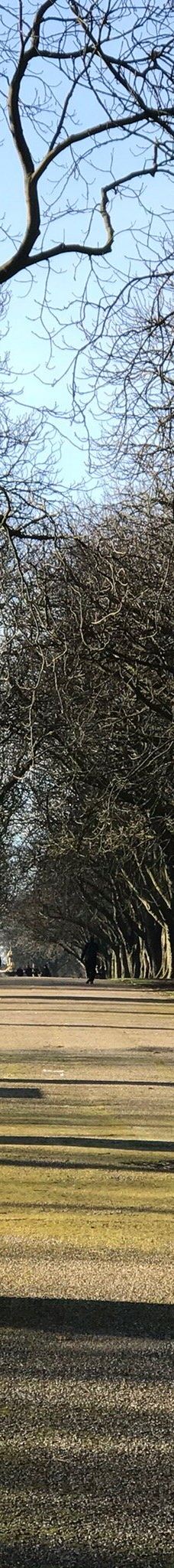 Albert Park-米德尔斯堡