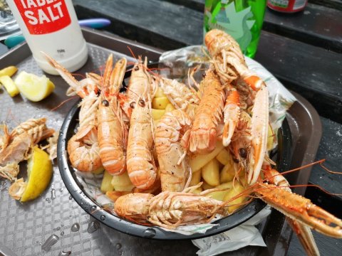 The Oyster Shed餐厅图片