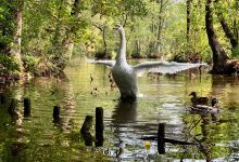 Niebieskie Zrodla Nature Reserve景点图片