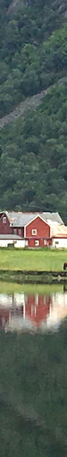 哈当厄尔峡湾-Stamnes