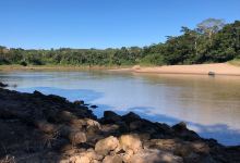 坦博帕塔河景点图片