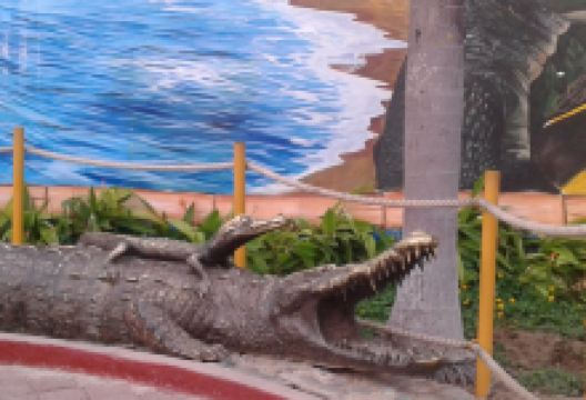 Paseo del Pescador景点图片