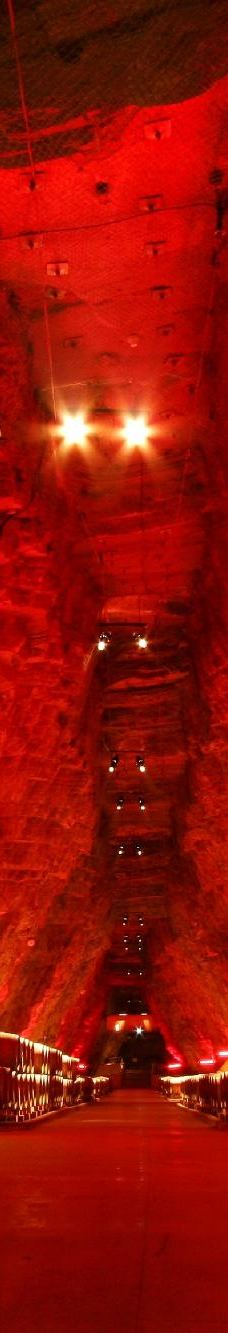 Terra Vinea-波尔泰代科尔比埃