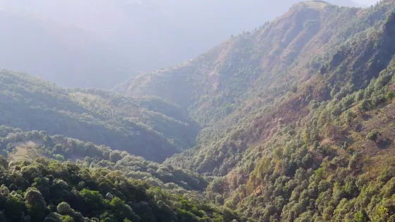Benog Wildlife Sanctuary