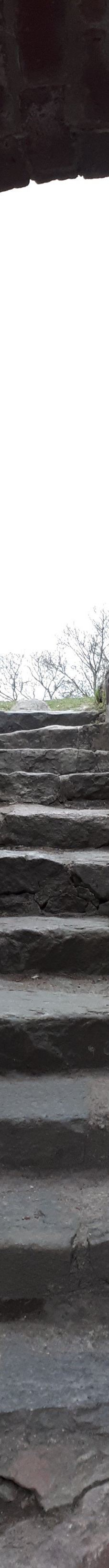 Kuusisto Bishop's Castle-卡里纳