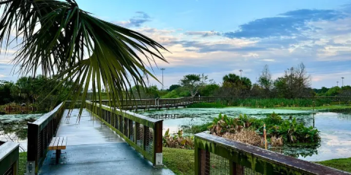 Peaceful Waters Sanctuary