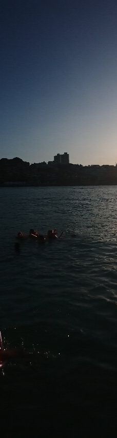 Jangalancha Show-纳塔尔