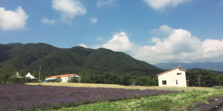 Haneui薰衣草農場