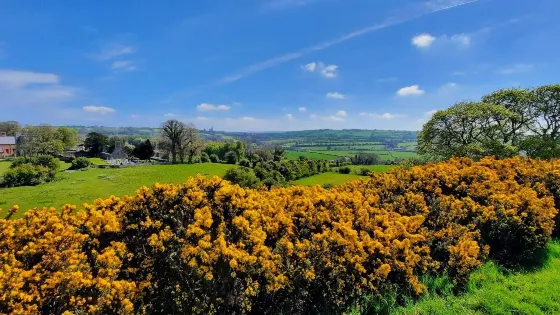 Dowth Passage Tomb