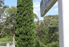 Faulconbridge Cemetery景点图片