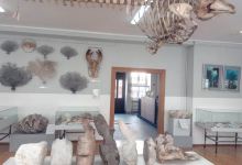 Museum of Sea Fishery Swinoujscie景点图片