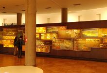 Museo Arqueologico Benahoarita景点图片