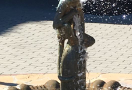 Fountain the Marmoset景点图片