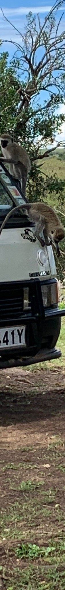 Adventure Africa Expedition-内罗毕