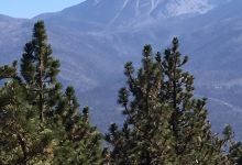 Skyline Trail景点图片