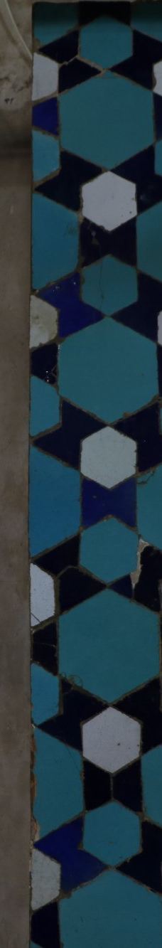 Seyed Rokn Addin Mausoleum-亚兹德