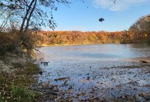 Sauk Trail Woods-North景点图片