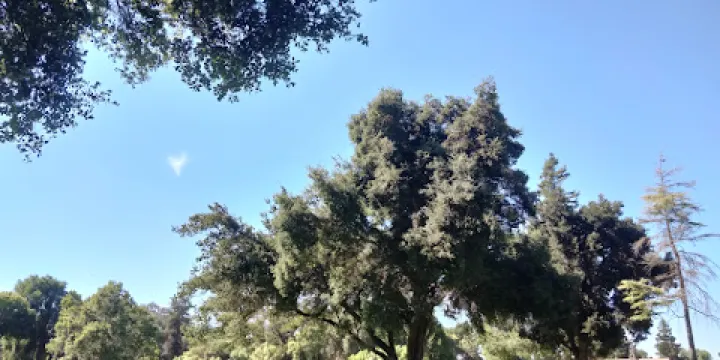 Monterey County Agricultural & Rural Life Museum