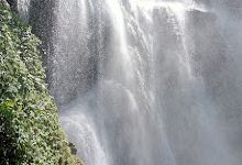 Cascada de agua blanca景点图片