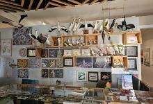 Artview Gallery景点图片