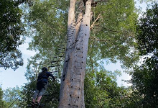 Jombok Hoas Adventure Learning Center景点图片