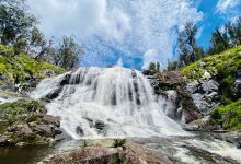 Basket Swamp Falls景点图片