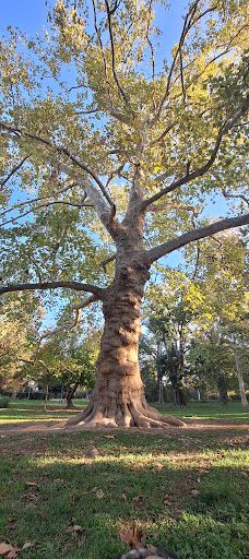 Danube Park-诺维萨德