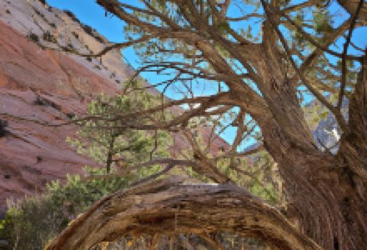 Red Hallow Canyon Trailhead景点图片