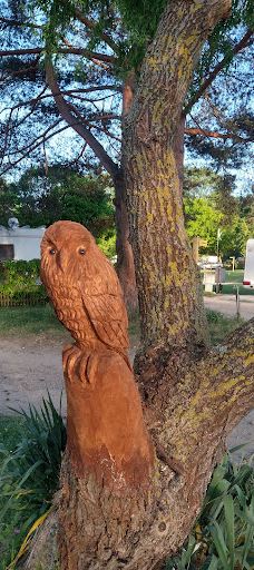 MoselCamping Bernkastel-贝恩卡斯特尔-屈斯