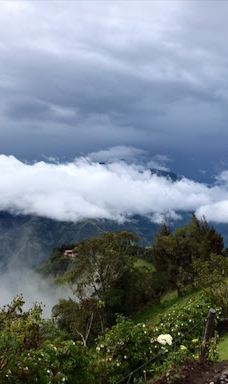 La Casa del Arbol-巴尼奥斯县