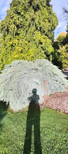 Gore Public Gardens-戈尔