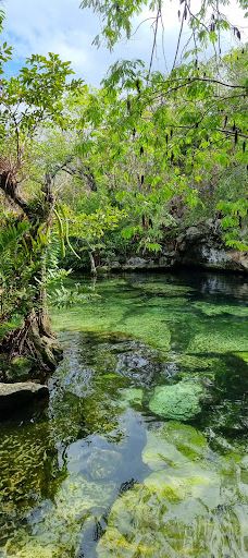 Cenote Azul-索里达瑞达德