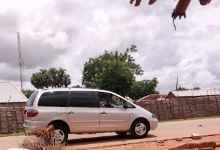 Parks and Garden景点图片