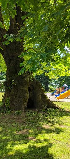 Kemp Olson Memorial Park Campground RV Park-托莱多