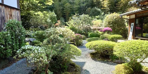 伝來寺庭園