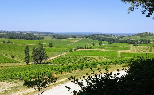 Chateau Belingard