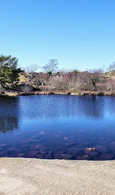 Opal Lake-伯恩霍尔姆