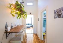The Plants Project购物图片