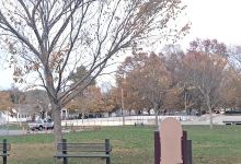 Livesey Park景点图片