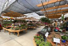 Gardener's Supply Company购物图片
